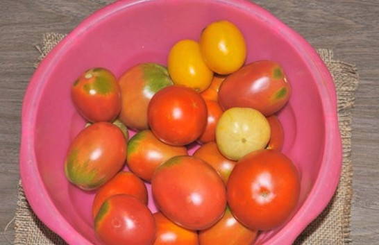 Квашеные помидоры с аспирином на 3 литровую банку