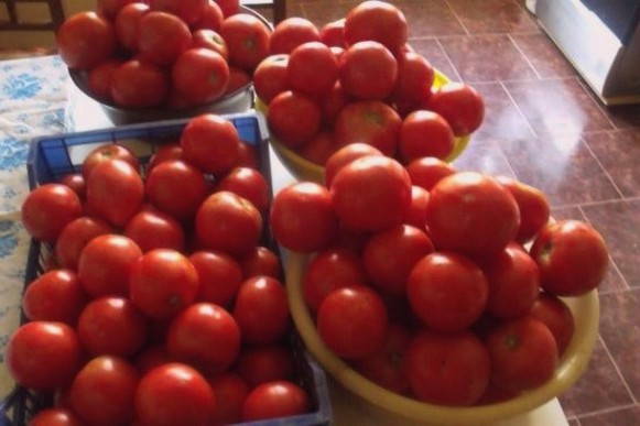 Маринованные помидоры с луком и маслом