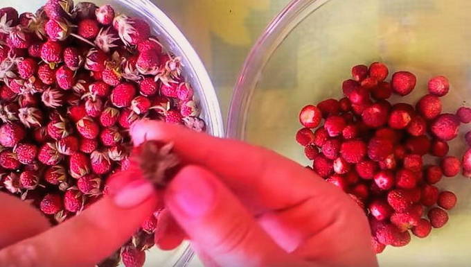 Варенье из лесной клубники 5-минутка с целыми ягодами