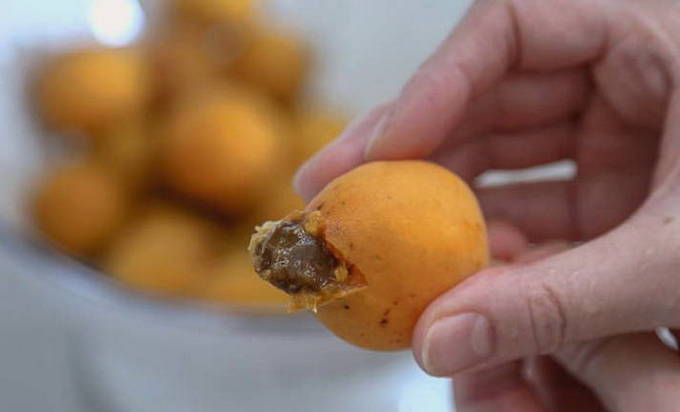 Варенье из абрикосов с грецкими орехами на зиму