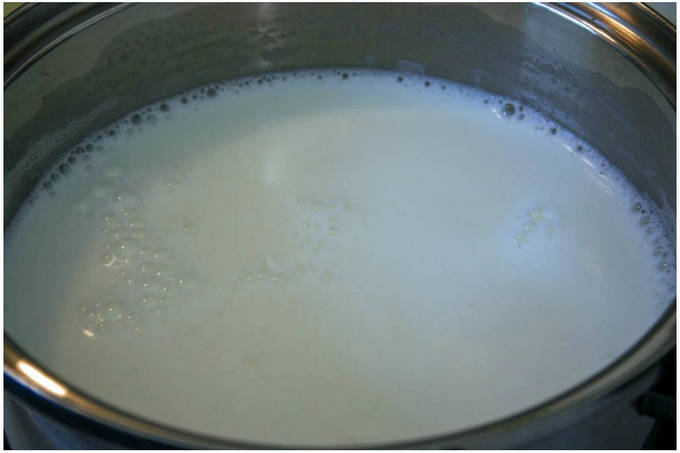 Брынза из коровьего молока в домашних условиях