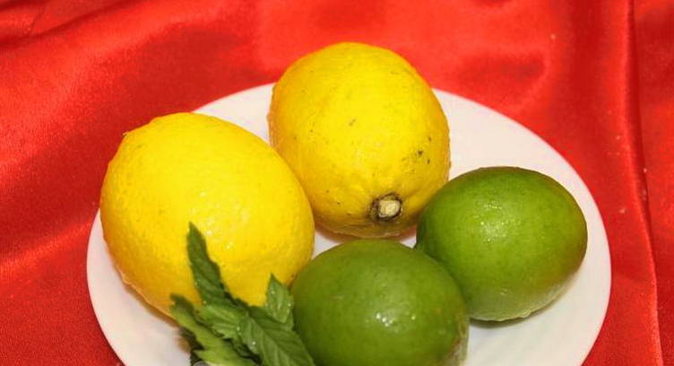 Безалкогольный мохито с лимоном, мятой и водой