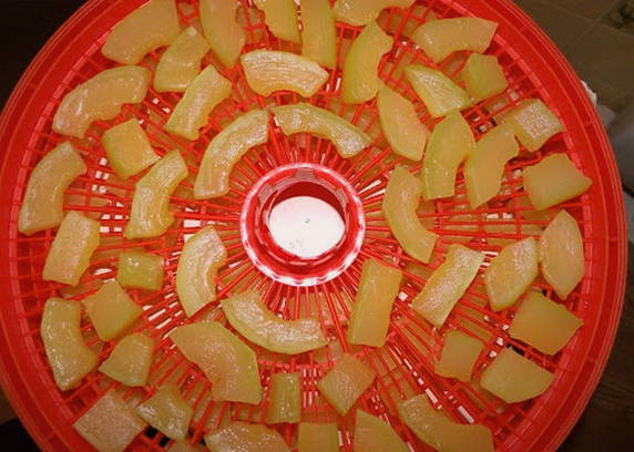 Цукаты из кабачков в сушилке