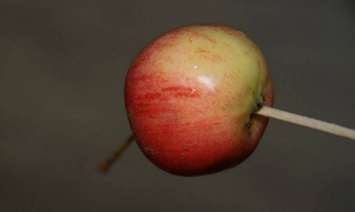 Варенье из яблок ранеток целиком