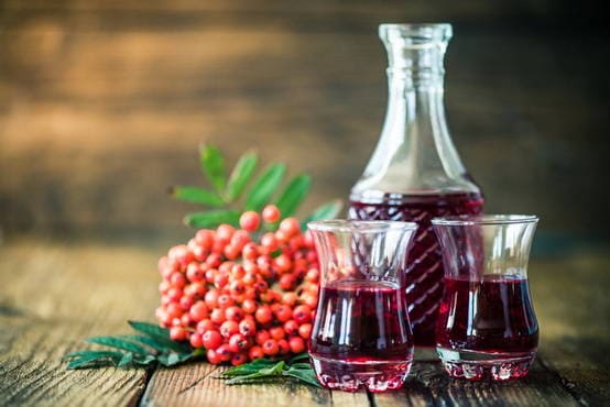 Простые пошаговые рецепты домашнего вина из красной рябины