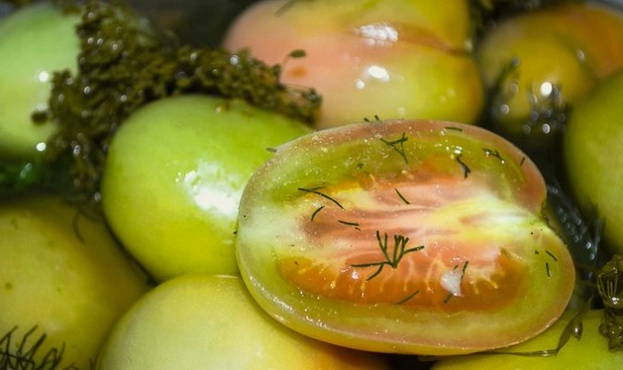 Зеленые помидоры квашеные в кастрюле с горчицей