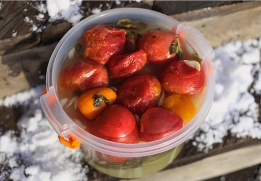 Рецепт квашеных помидоров в ведре на зиму, за пару дней — Еда