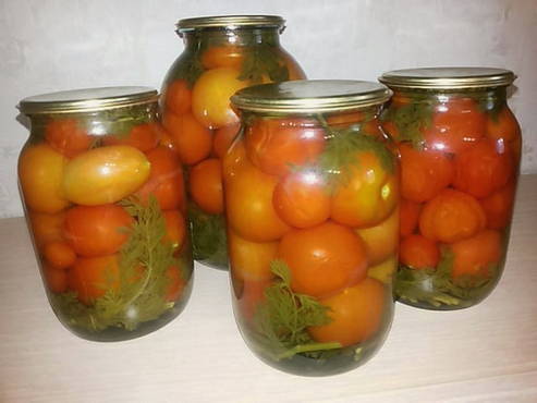Маринованные помидоры на зиму: рецепты приготовления