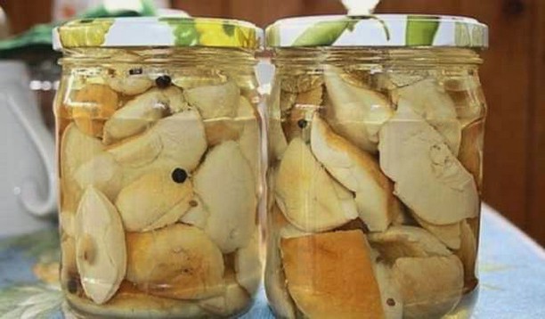 Маринованные маслята с лимонной кислотой на зиму — рецепт с фото пошагово