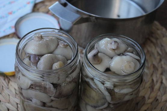маринованные маслята на зиму рецепты с фото | Дзен