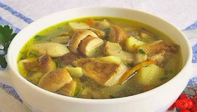 Классический суп из белых грибов – пошаговый рецепт приготовления с фото