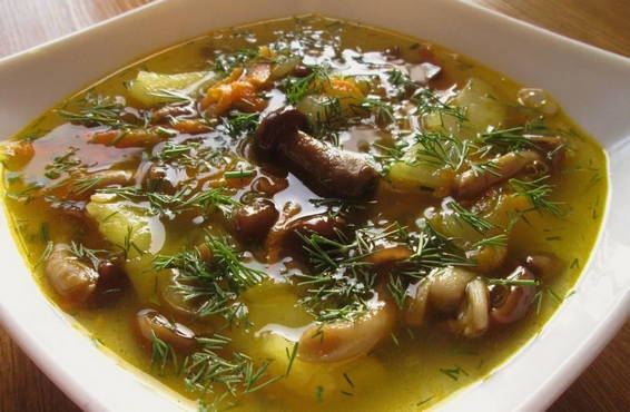 Суп с опятами свежими