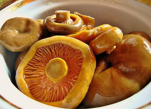 Самый простой рецепт рыжиков сухого посола – нужны только грибы и соль!