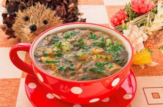 Суп из белых сушеных грибов на курином бульоне пошаговый рецепт с фото — Вкусное дома