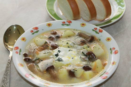 Грибной суп из свежих опят: рецепты приготовления с фото