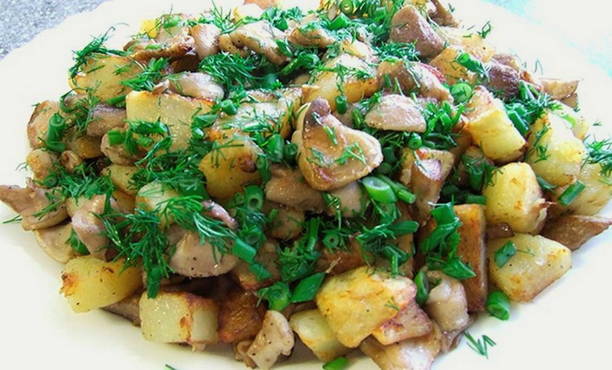 Жареная картошка с грибами вешенками Просто Кухня