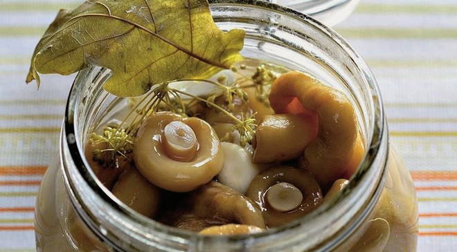 Солянка грибная классическая. Рецепт на зиму вкусной солянки с грибами