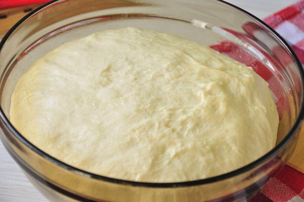 Тесто для пирожков без яйца на кефире