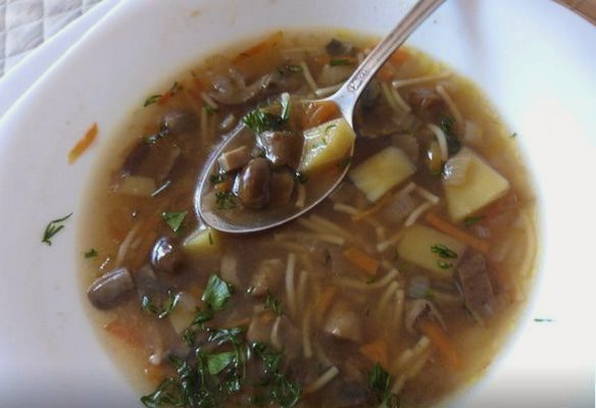 Грибной суп из сушеных грибов с вермишелью