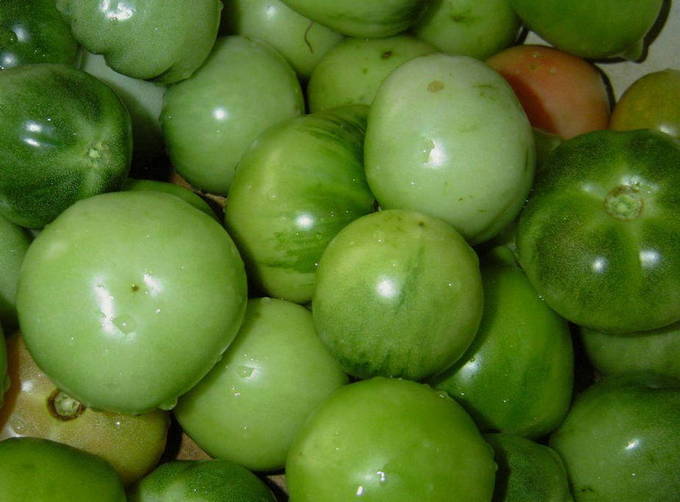 Соленые зеленые помидоры на зиму - рецепт с фото