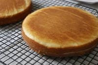 Бисквитный торт - 5 очень вкусных и простых рецептов с фото пошагово
