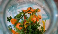Помидоры с морковной ботвой на 1 литровую банку на зиму