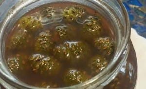 Варенье из сосновых шишек - 5 рецептов с фото пошагово
