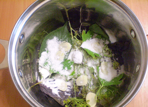 Быстрые хрустящие малосольные огурцы в кастрюле - классические рецепты приготовления с фото пошагово