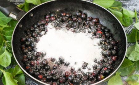 Пирог с черной смородиной в духовке - простые и вкусные рецепты