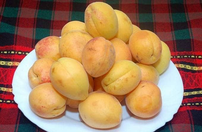 Шарлотка с абрикосами – пышные рецепты в духовке