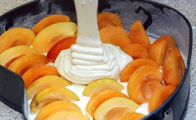 Шарлотка с абрикосами – пышные рецепты в духовке