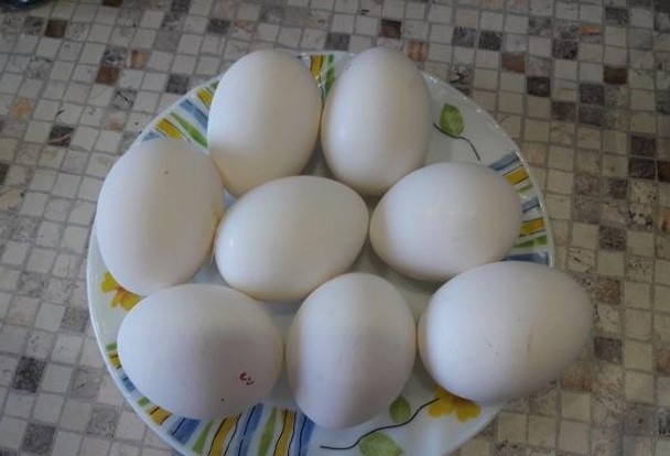 Бисквит из 8 яиц