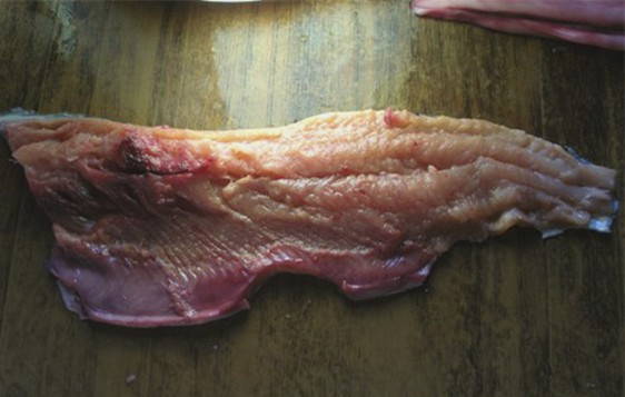Нежная рыба горбуша в микроволновке за 15 минут: получается сочно, вкусно и ароматно