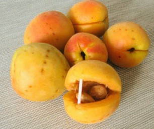 Варенье из абрикосов с ядрышками