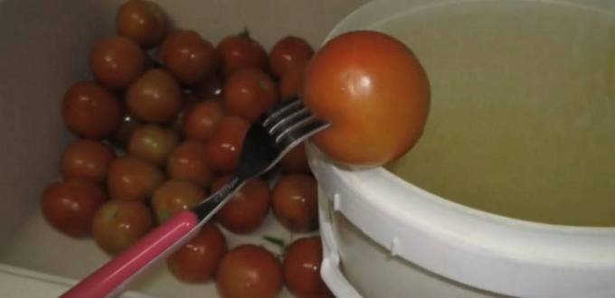 Соленые помидоры в ведре