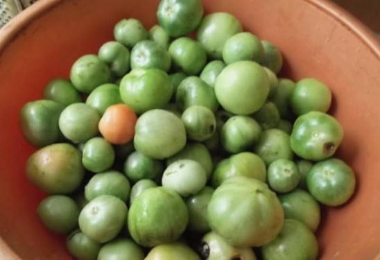 Салат из зеленых помидор по-корейски рецепт фото пошагово и видео