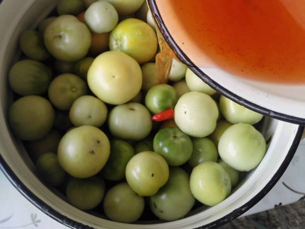 Зеленые помидоры быстрого приготовления