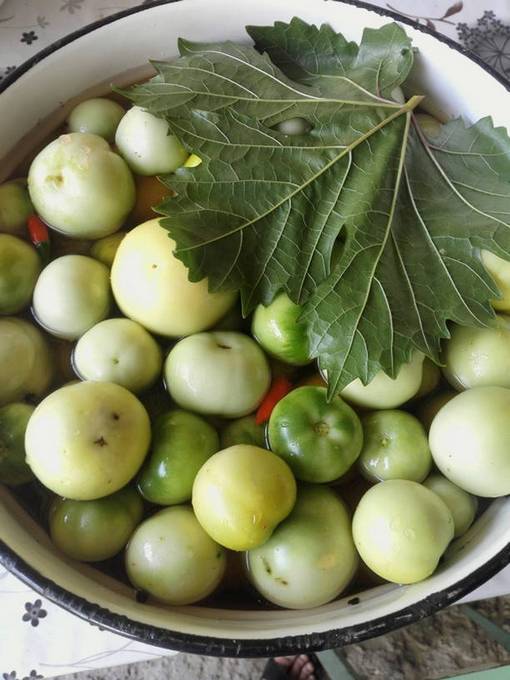 Зеленые помидоры быстрого приготовления