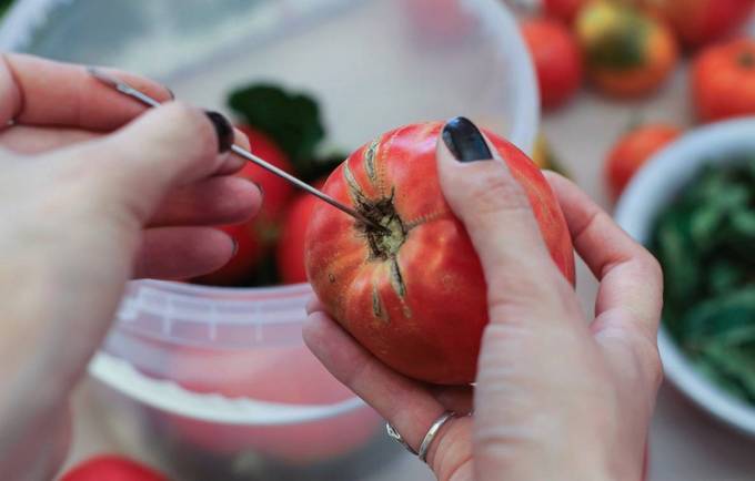 Соленые помидоры в пластиковом ведре