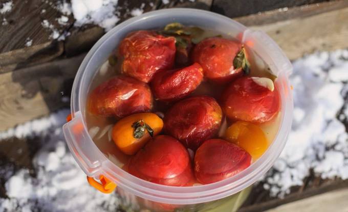 Соленые помидоры в пластиковом ведре