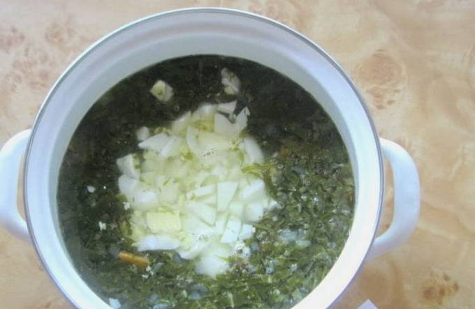 Щавелевый суп из консервированного щавеля
