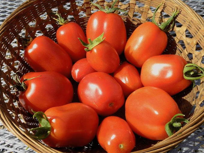 Как заморозить помидоры на зиму в домашних условиях: 7 проверенных способов