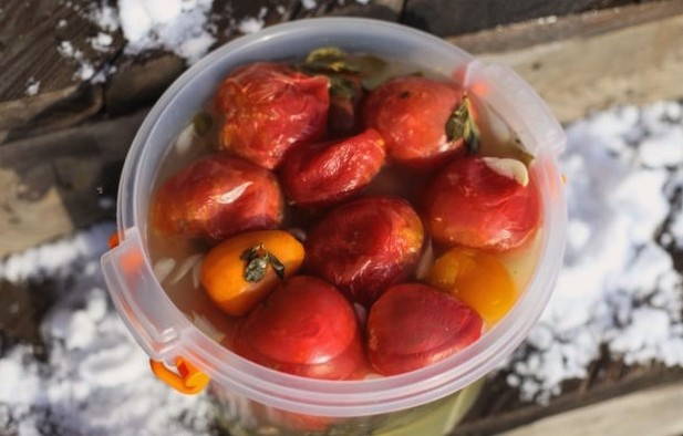 Бочковые помидоры быстрого приготовления
