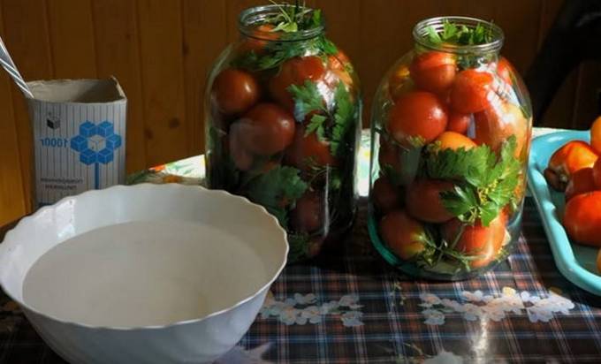 Соленые помидоры в 3-х литровой банке
