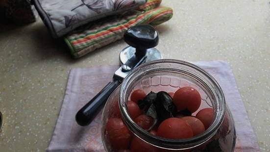 Малосольные помидоры с базиликом