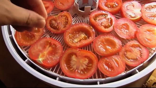 Вяленые помидоры в сушилке Изидри
