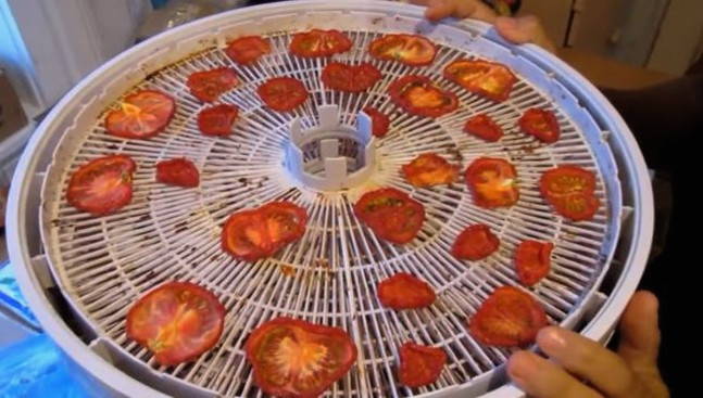 Вяленые помидоры в сушилке Изидри