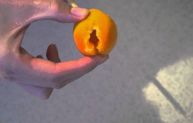 Как сварить компот из абрикосов не для закатки