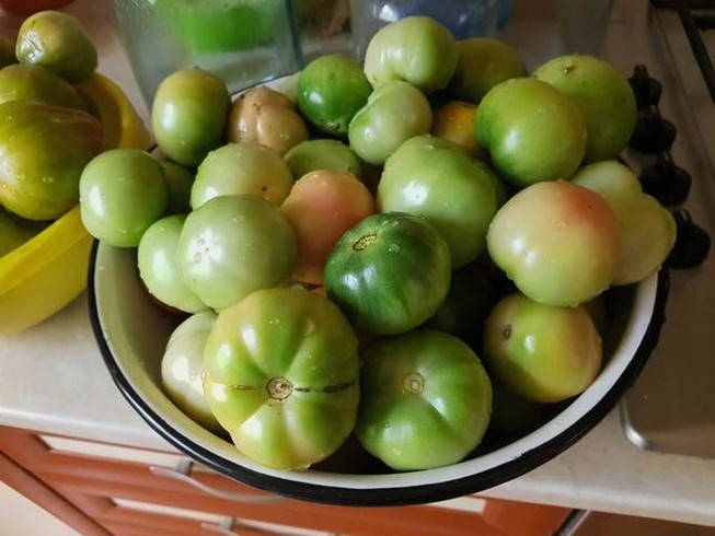Заготовки из зеленых помидор на зиму