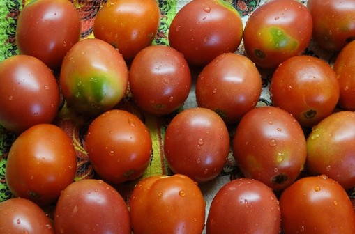 Вяленые помидоры в газовой духовке